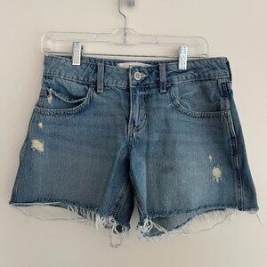 Hollister Co. Women's Blue Shorts